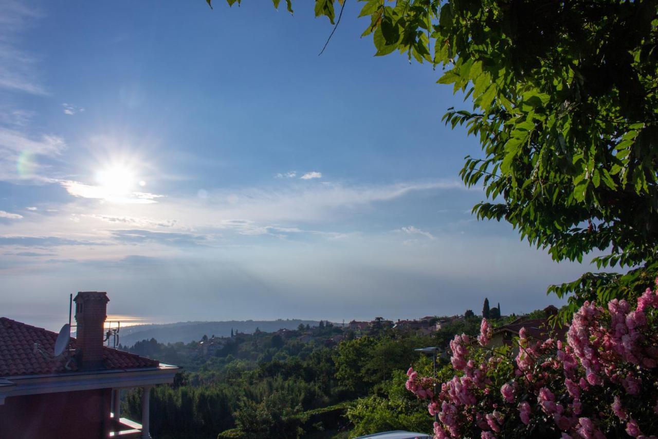 Seaview Heights Above Portoroz Leilighet Izola Eksteriør bilde